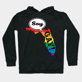 Say Gay Hoodie